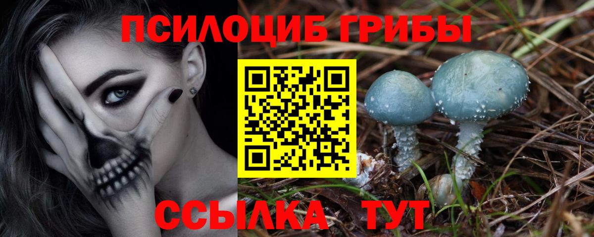 Галлюциногенные грибы MAGIC MUSHROOMS Владимир
